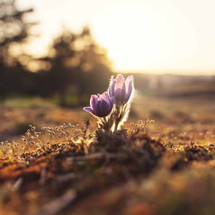 Low-impact nature route